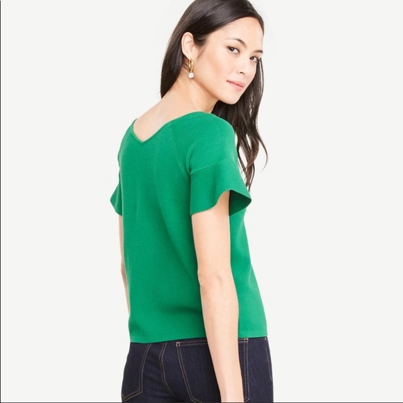 Ann Taylor green shirt leave sweater - great shape - Picture 2 of 6